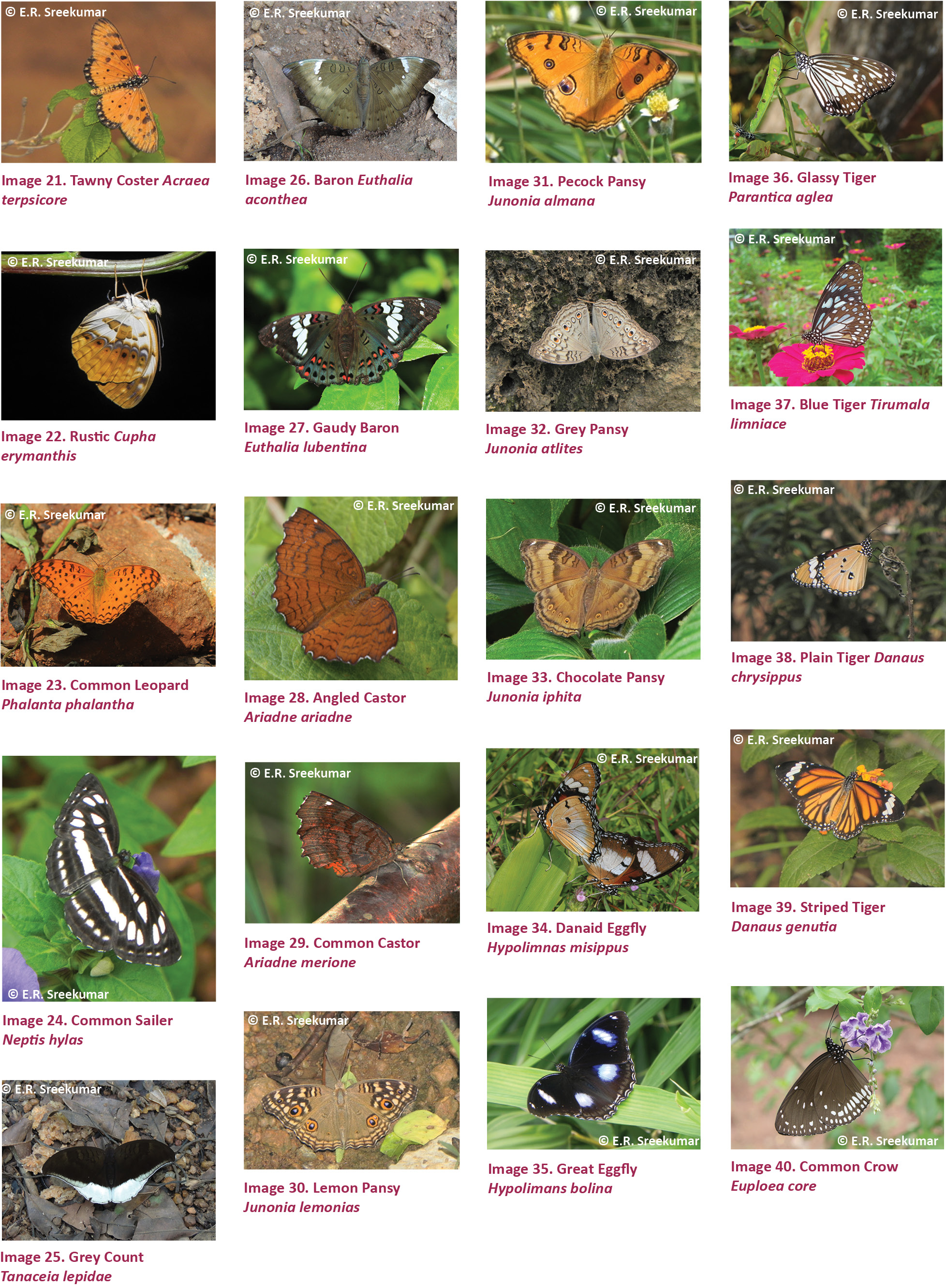 351326v171020810215.html